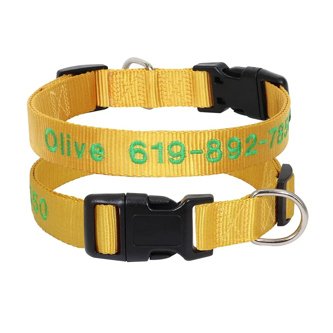 Op maat geborduurde halsband met duurzaam nylon verstelbaar ontwerp voor veiligheid en stijl - Ruffy