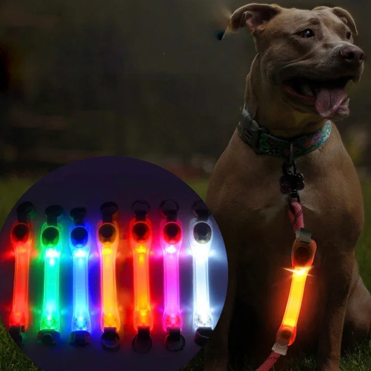 Lichtgevende Honden Halsband LED Veiligheid - Ruffy