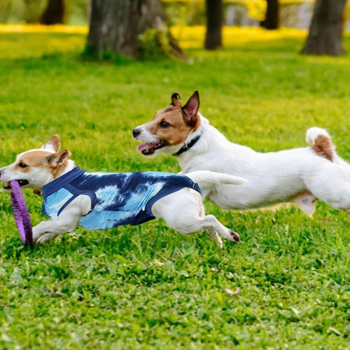 Comfortabel Herstelpak voor Honden Ademende Stof en Elastische Pasvorm Voor Post-Operatief Gebruik - Ruffy