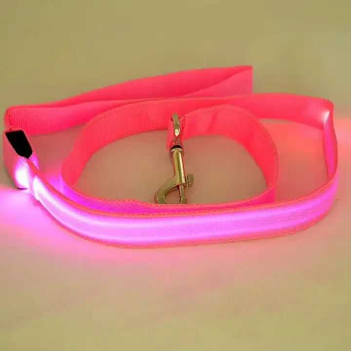 LED USB Oplaadbare Veiligheidsriem Voor Honden - Ruffy