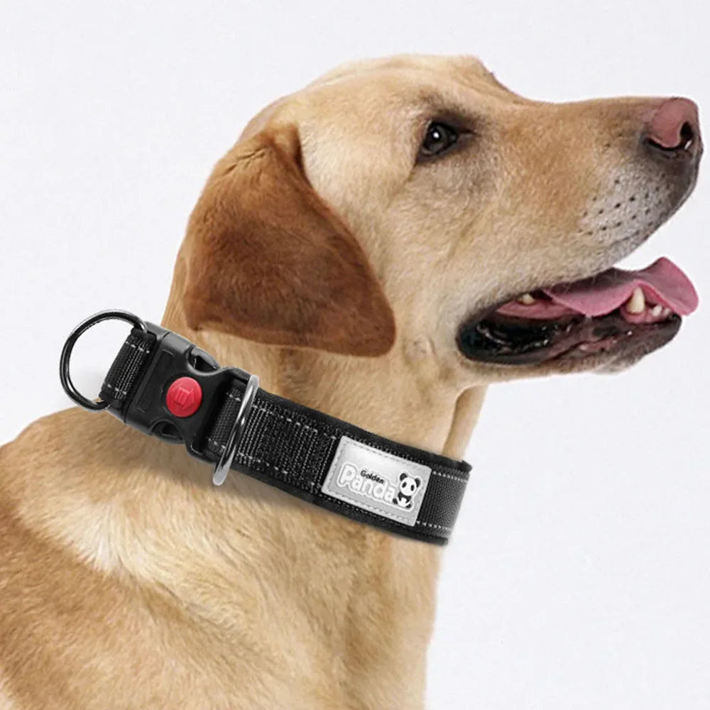 Reflecterende Nylon Halsband Zacht Gewatteerd Verstelbaar Veilig Voor Alle Hondenmaten - Ruffy