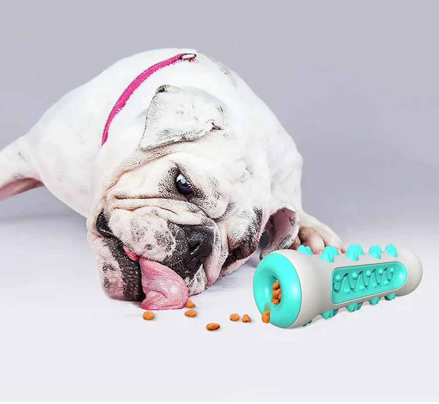 Kauwspeelgoed Hond Veilig Gebitsreinigingsspeeltje - Ruffy