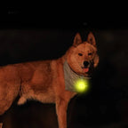 Silicone LED Hondenhalsband Licht Voor Nacht Veiligheid - Ruffy