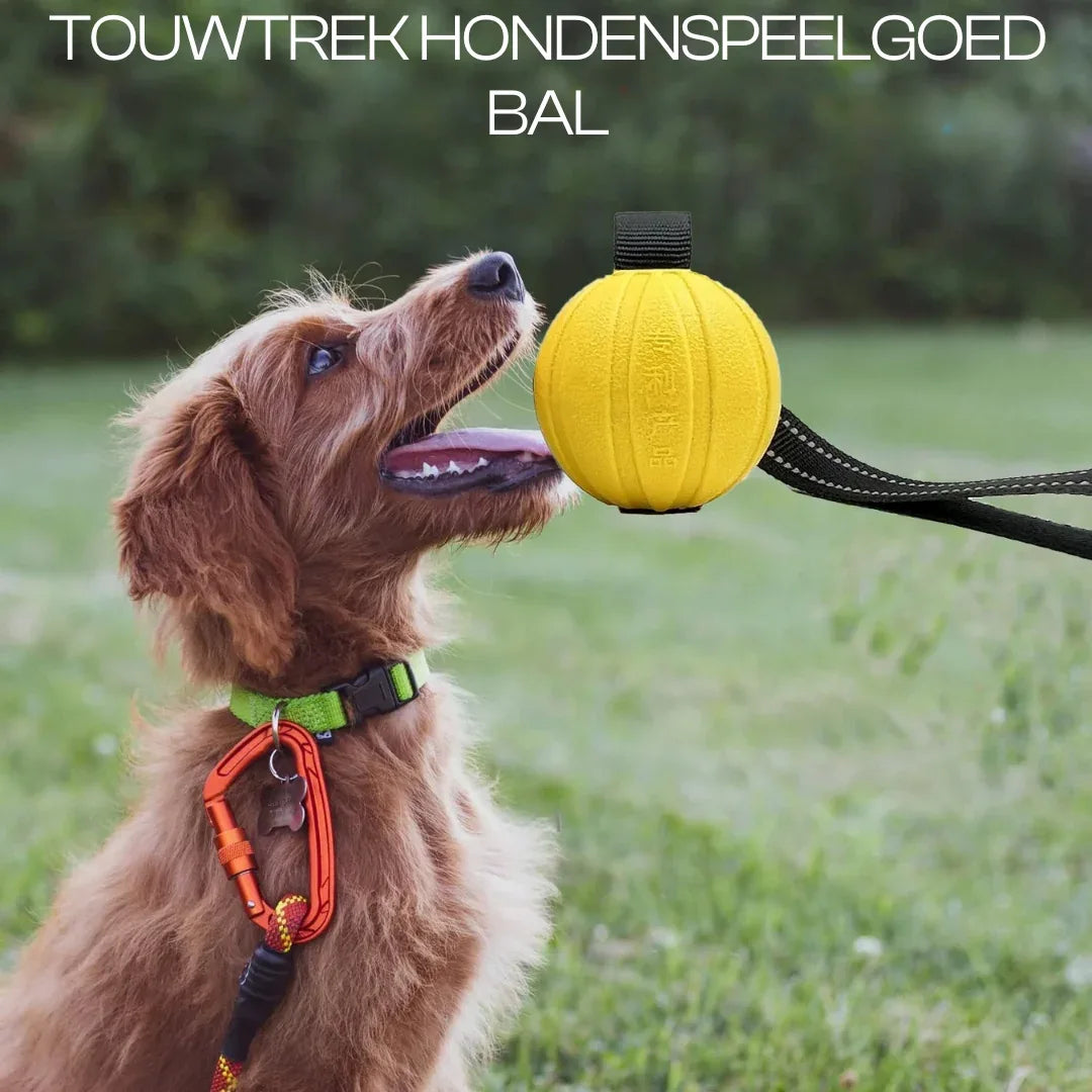 Hondentraining Rubber Bal met Touw - Ruffy
