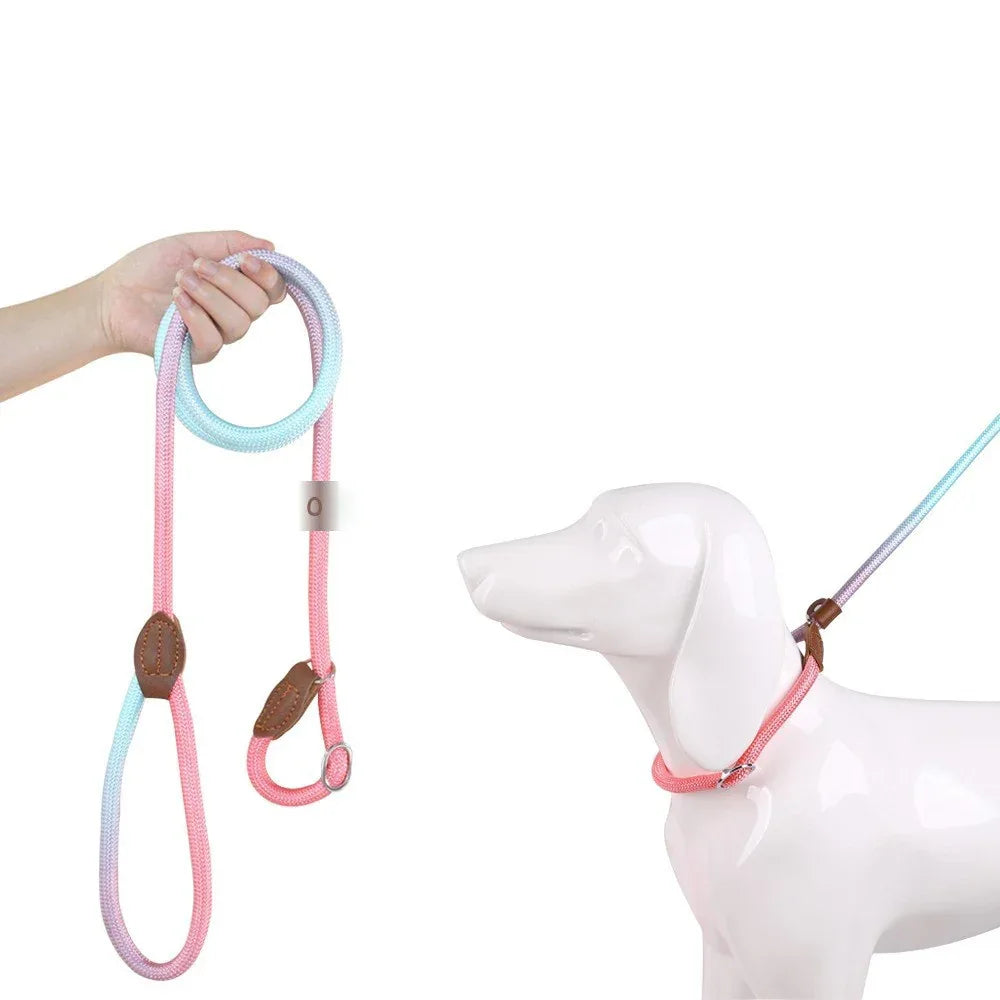 Kluwenvrije Hondenriem Ergonomisch Duurzaam Nylon Comfortabele Grip Stijlvol Ontwerp - Ruffy