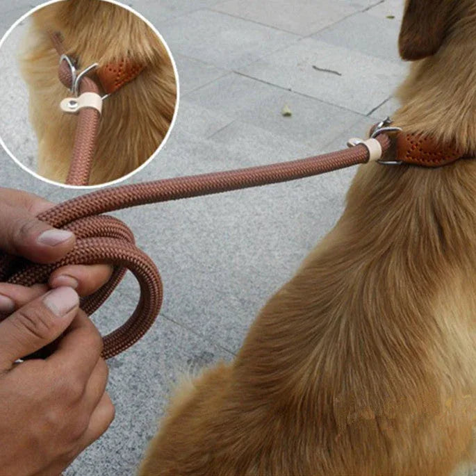 Duurzame Gevlochten Anti-Trek Hondenriem | Verstelbare Lus | Nylon | Middelgrote & Grote Honden - Ruffy