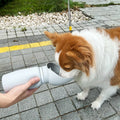 Opvouwbare Draagbare Waterfles voor Huisdieren 550ml Lekvrij en Duurzaam Siliconen Ontwerp - Ruffy