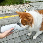 Opvouwbare Draagbare Waterfles voor Huisdieren 550ml Lekvrij en Duurzaam Siliconen Ontwerp - Ruffy