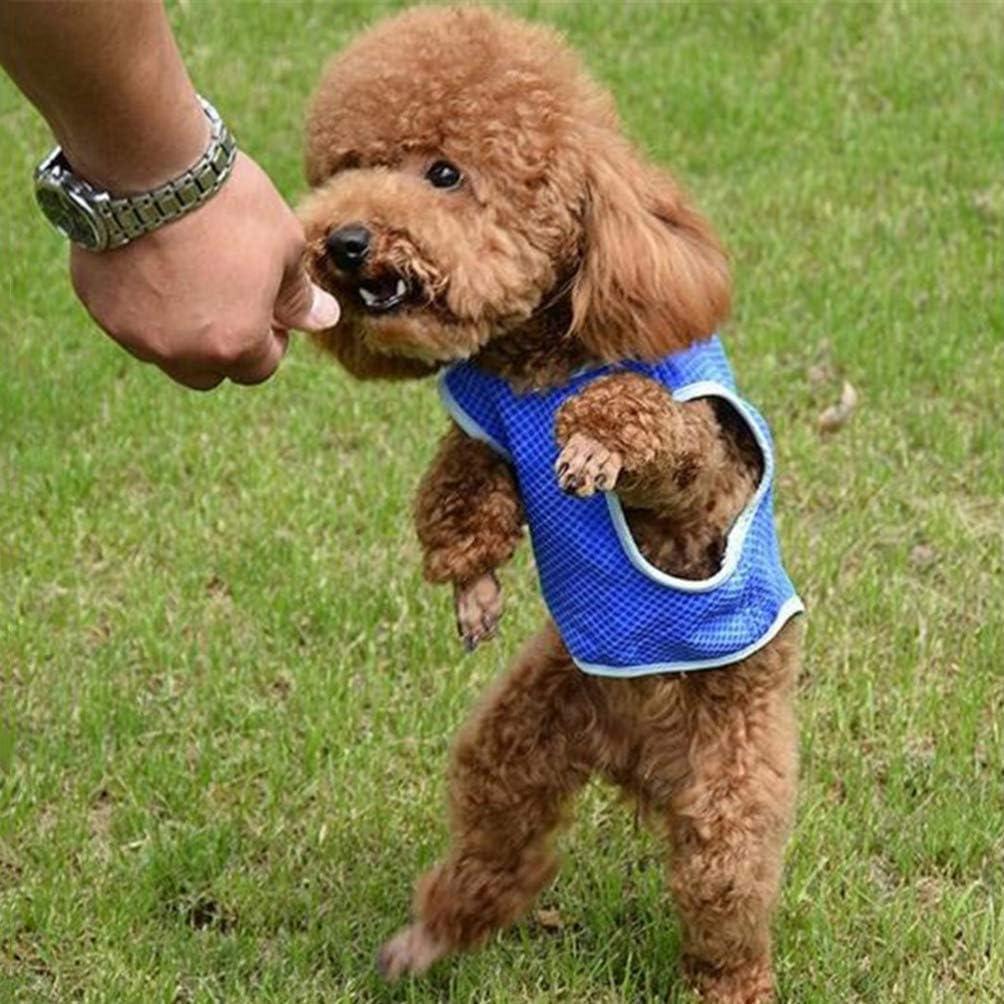 Ultiem Koelvest voor Honden 3-Laags Microvezel Verstelbaar Lichtgewicht Beschikbaar in XS tot L - Ruffy
