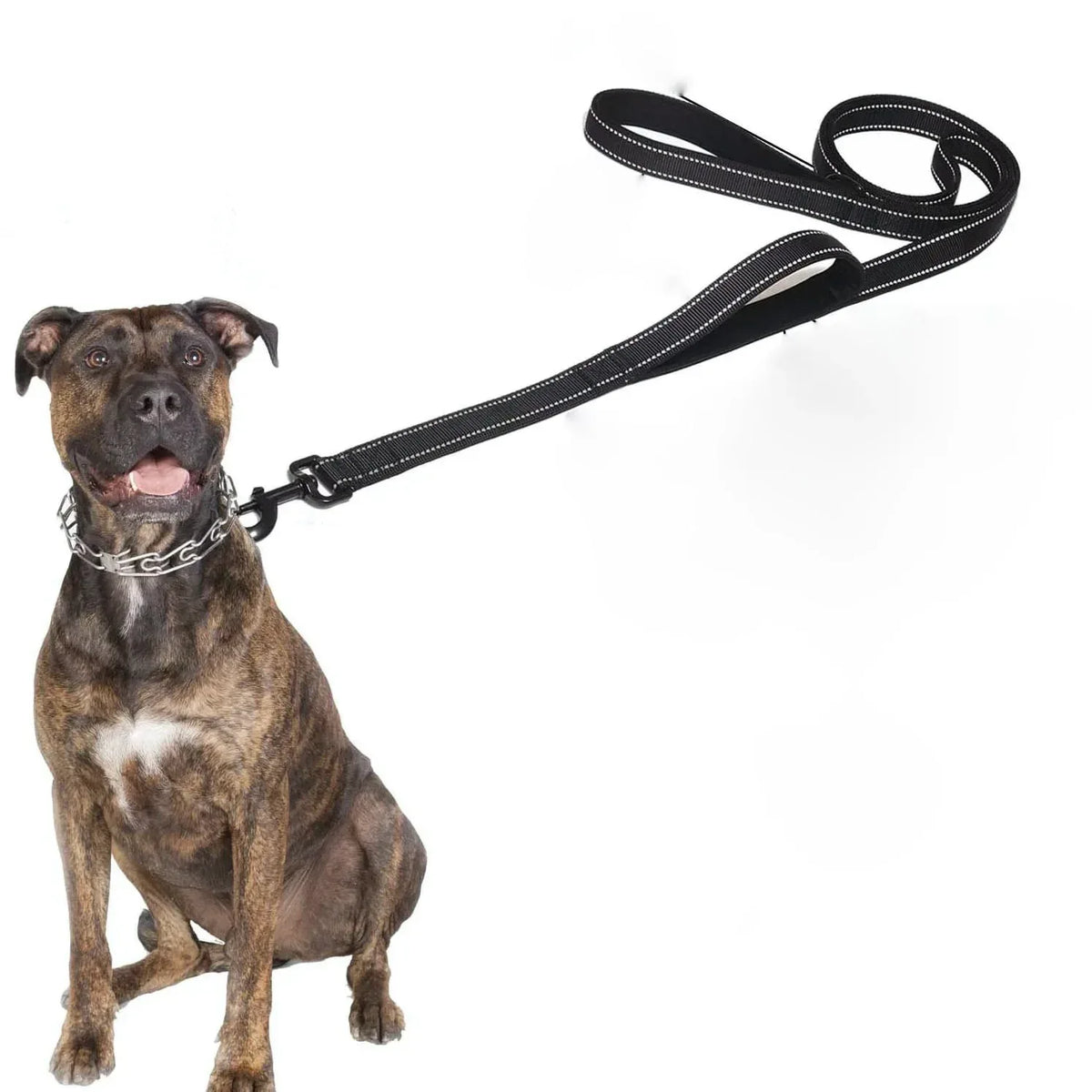 sterke Reflecterende Hondenriem - Ruffy