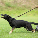 Lange Gevlochten Leren Hondenriem - Ruffy
