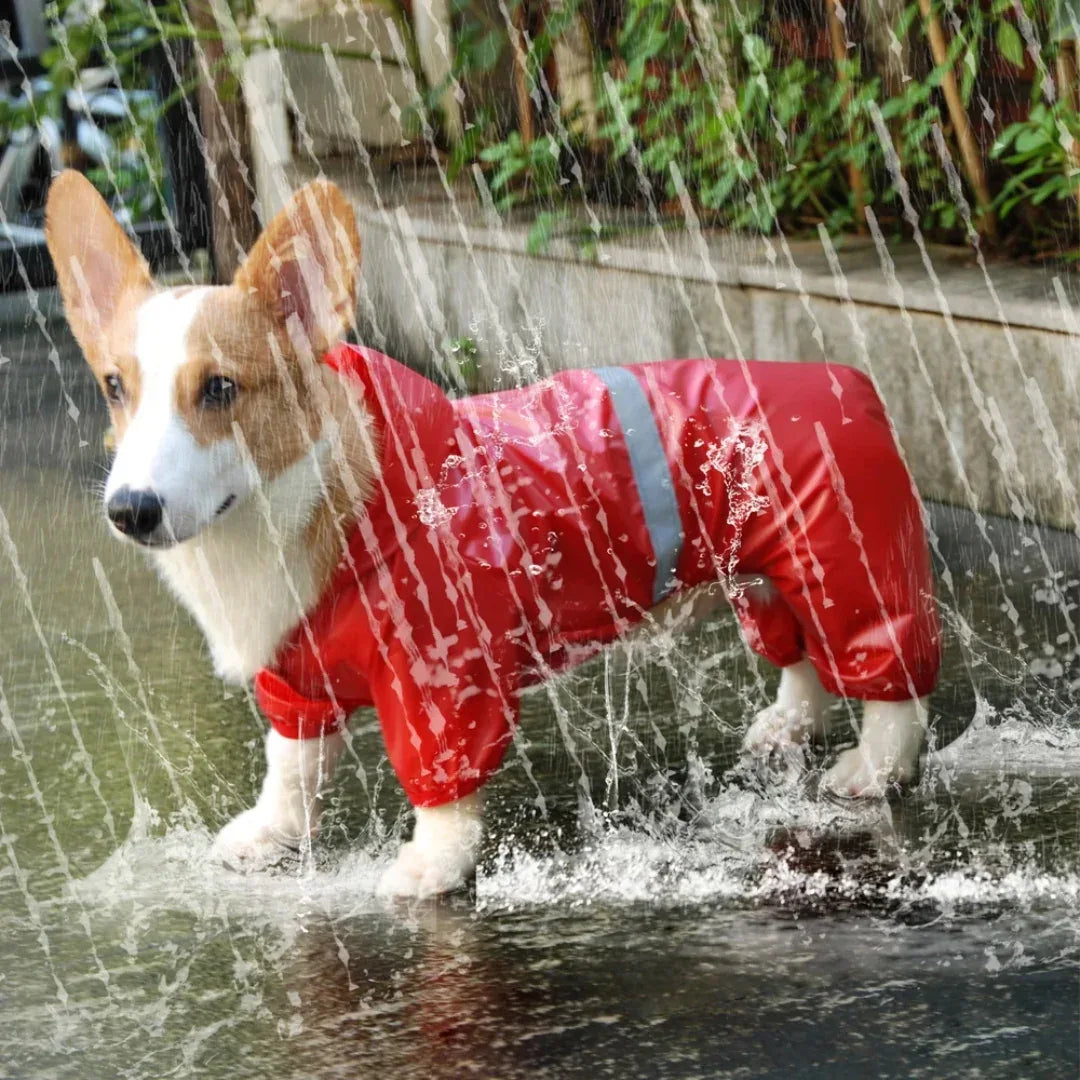 Reflecterende Regenjas voor Kleine Honden - Ruffy