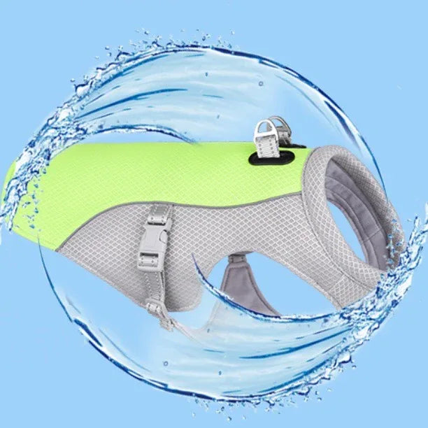 Zomervest voor Honden Ademend Reflecterend Snelsluiting Beschikbaar in XXS tot XXL - Ruffy