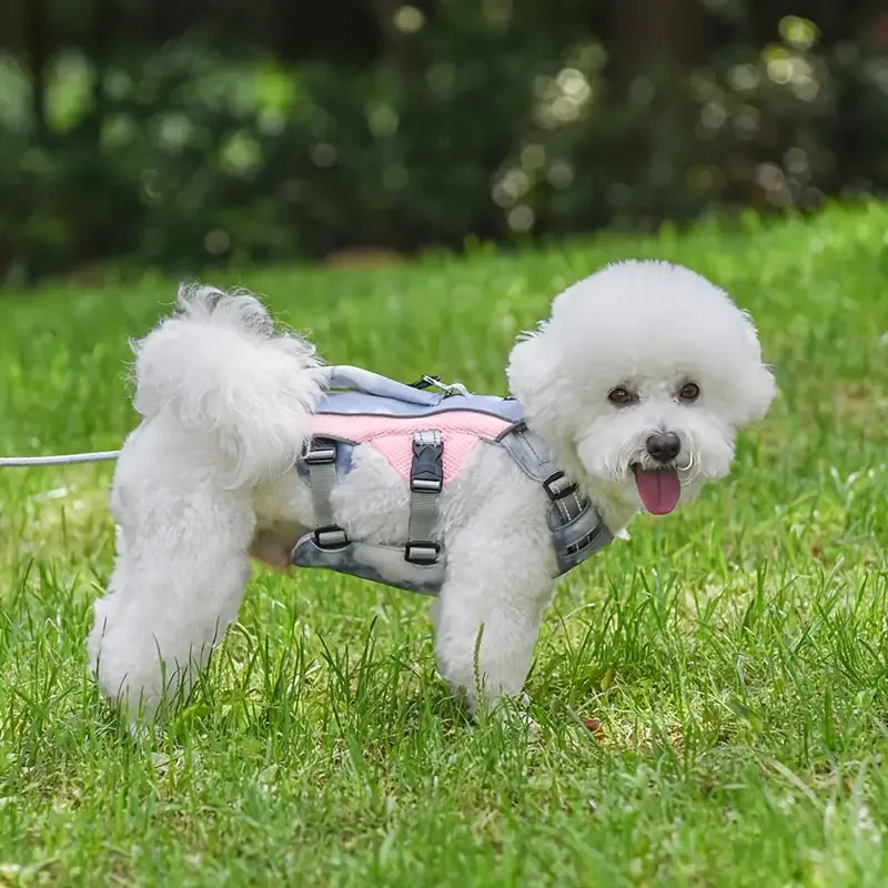 Hond Reflecterend Zomer Koelharnas - Ruffy