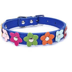 Bloemen leren hondenhalsband - Ruffy