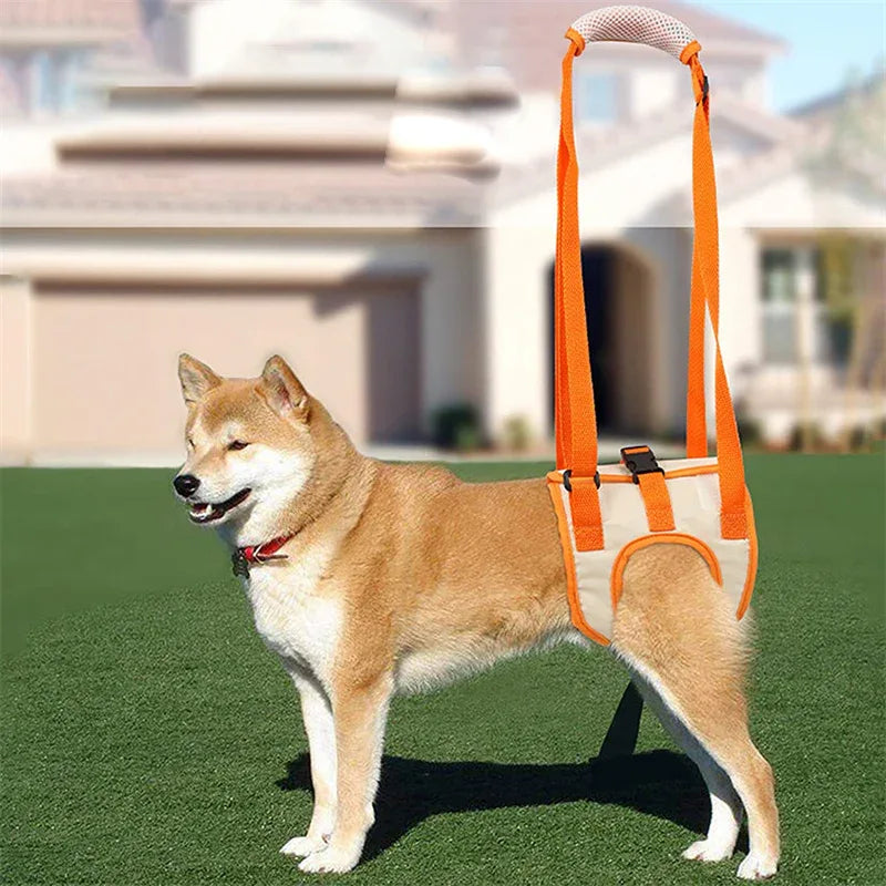 Honden Harnas Slinger Rugpoten Heupsteun - Ruffy