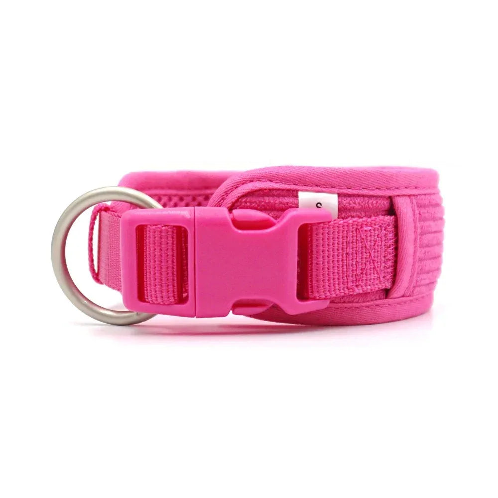 Complete hondenset Harnas Halsband Leiband en Poepzakhouder Verstelbaar en Stijlvol - Ruffy