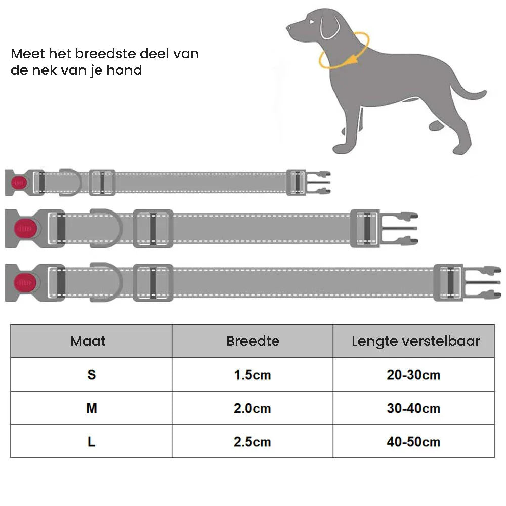 Reflecterende Nylon Halsband Zacht Gewatteerd Verstelbaar Veilig Voor Alle Hondenmaten - Ruffy