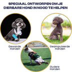 Ondersteunend Tuig Voor Herstellende Honden Artrose & Operaties - Ruffy