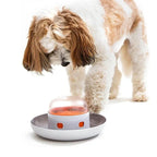 Interactieve Slow Feeder Puzzle Hondenbak Voedselveilig Duurzaam Mentale Stimulatie Gezonde Spijsvertering - Ruffy