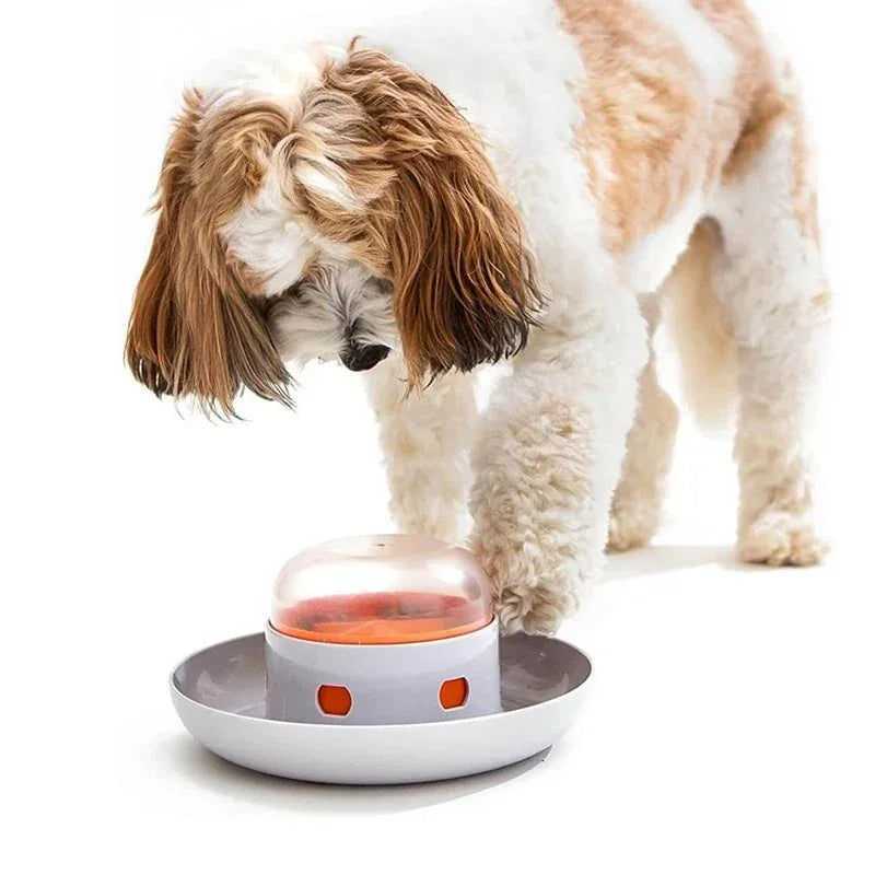 Interactieve Slow Feeder Puzzle Hondenbak Voedselveilig Duurzaam Mentale Stimulatie Gezonde Spijsvertering - Ruffy