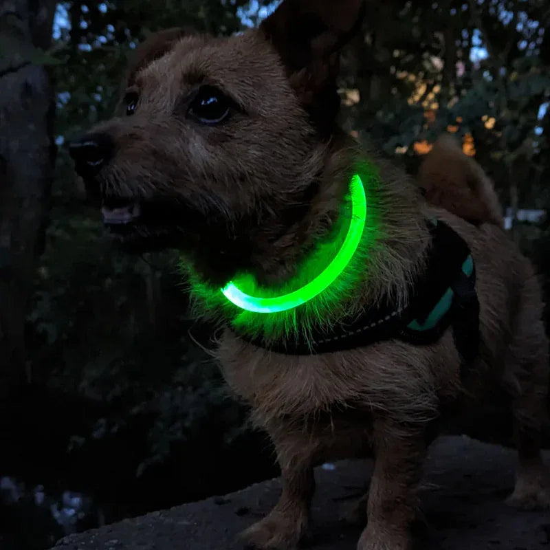 LED reflecterende nylon hondenhalsband - duurzaam, verstelbaar & weerbestendig voor alle seizoenen - Ruffy