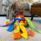 Snuffelbal Honden Puzzelspeelgoed | Mentale Stimulatie & Snoepjesspel | Duurzaam Poolse Fleece - Ruffy