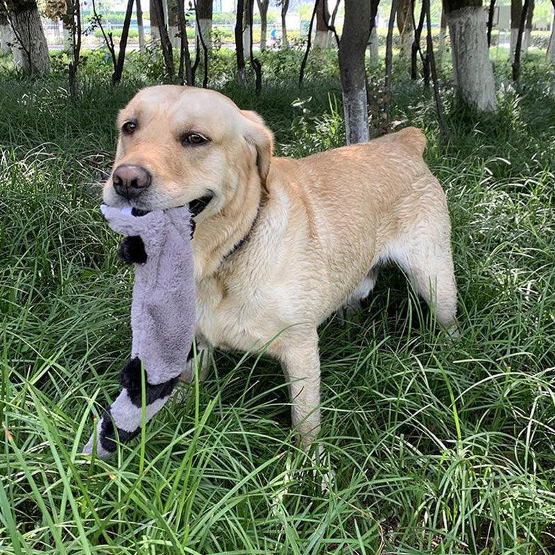 Zacht piepend pluche kauwspeelgoed voor honden Duurzaam fleece dierenvormen voor interactief spelen - Ruffy