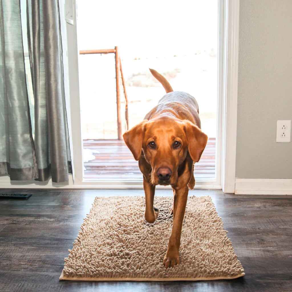 Clean Paw Mat Dog