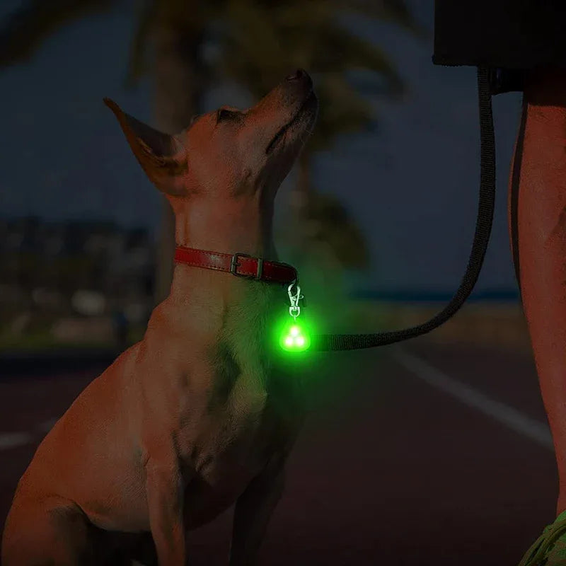 Silicone LED Hondenhalsband Licht Voor Nacht Veiligheid - Ruffy