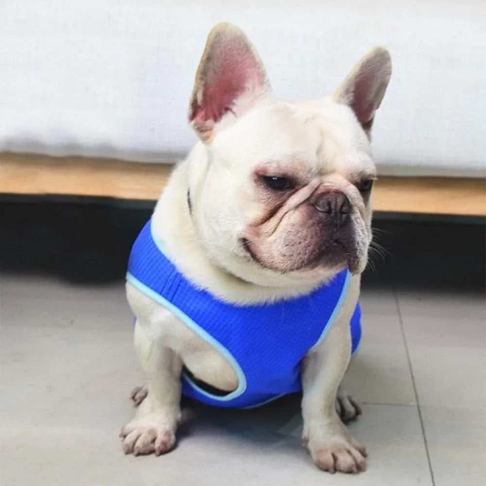Ultiem Koelvest voor Honden 3-Laags Microvezel Verstelbaar Lichtgewicht Beschikbaar in XS tot L - Ruffy