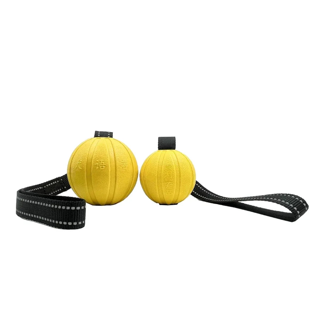 Hondentraining Rubber Bal met Touw - Ruffy