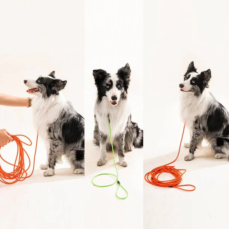 Waterdichte PVC hondenriem zonder knopen, duurzaam ontwerp voor kleine tot grote honden in meerdere lengtes - Ruffy