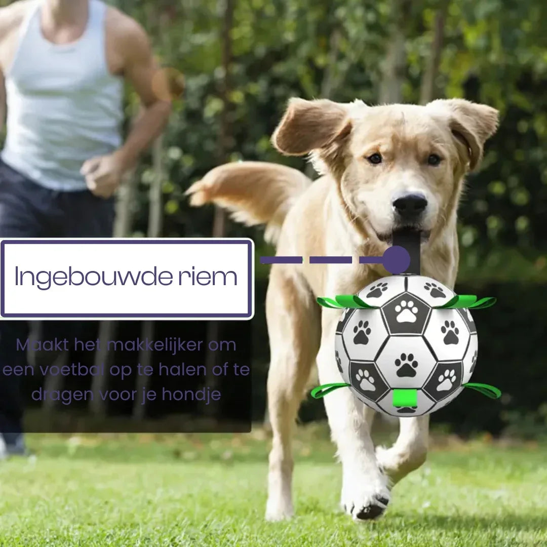 Interactief Voetbal sterk Hondenspeelgoed voor intelligentie - Ruffy