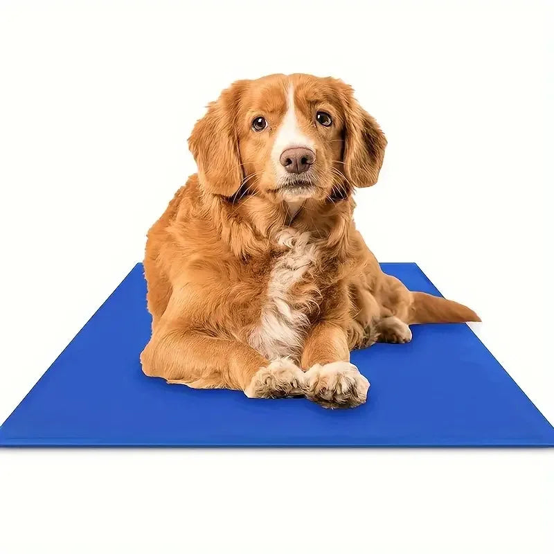 Honden Koelmat Drukgeactiveerd Niet-Giftig Duurzaam Beschikbaar in S M L XL - Ruffy