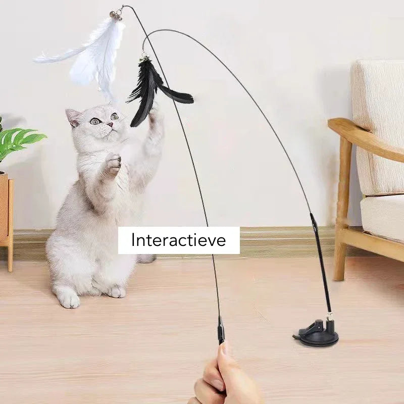Interactieve kat veer plager stok van duurzaam plastic met vervangbare veer bevestiging speeltje voor binnen - Ruffy