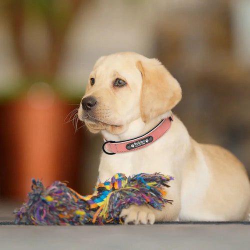 Aangepaste ID Lederen Hondenhalsband - Ruffy
