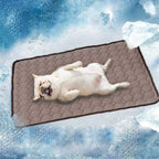 Zelfkoelende mat voor honden en katten Draagbare, niet-giftige zomerkoelmat Gemakkelijk schoon te maken Meerdere maten - Ruffy