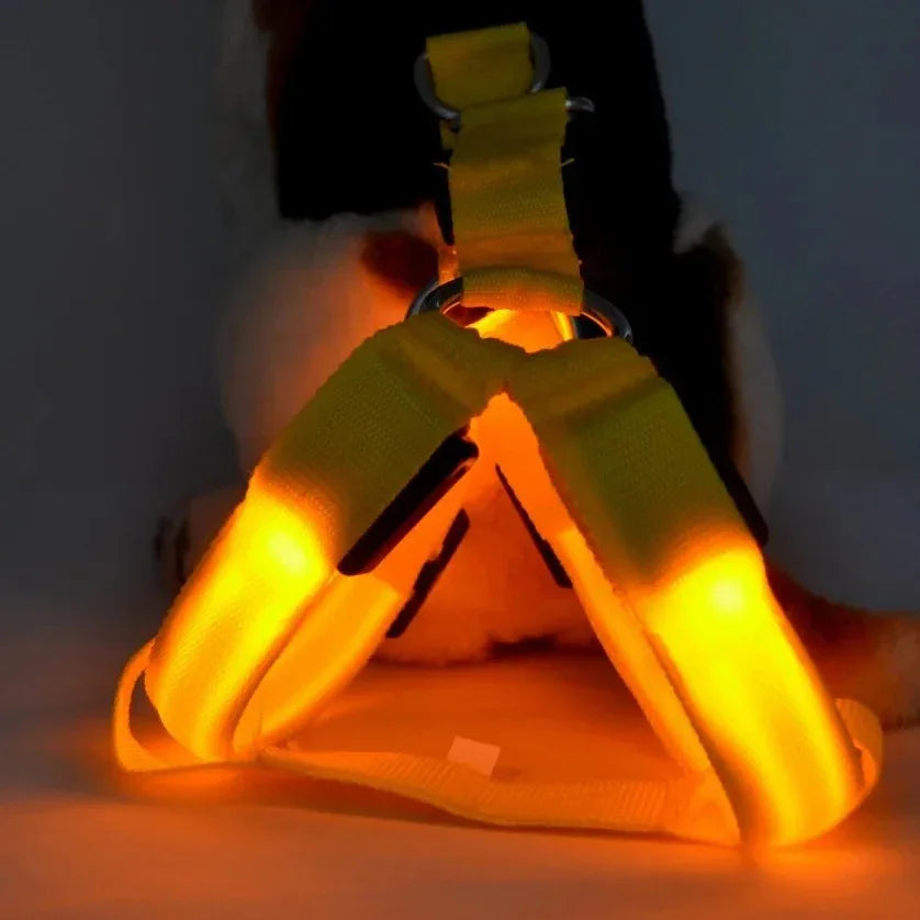 Hondentuig Lichtgevend USB Oplaadbaar - Ruffy