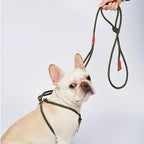 Verstelbare Training Hondenriem En Tuig In 1 - Ruffy