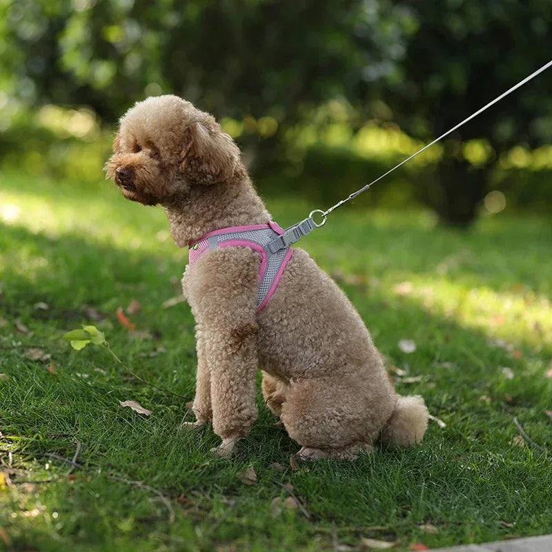 Reflecterend Harnas voor Kleine Honden Verstelbaar Ademend en Zacht Nylon Ontwerp - Ruffy