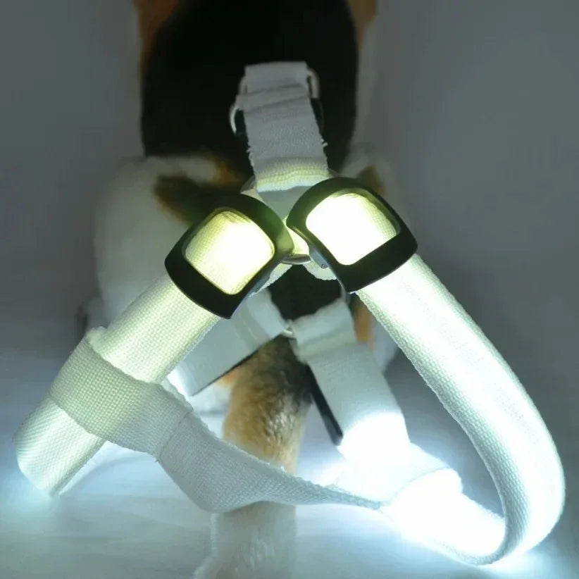 Hondentuig Lichtgevend USB Oplaadbaar - Ruffy