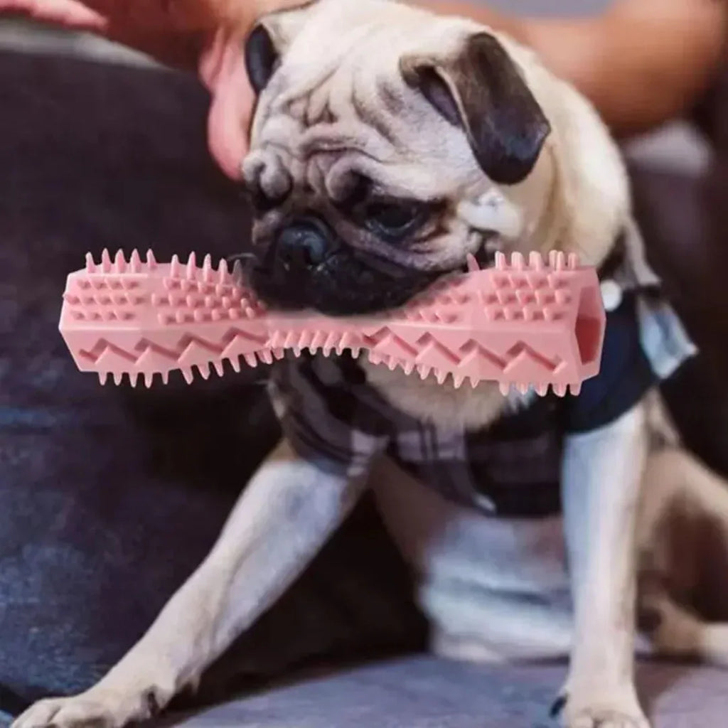 Honden Tanden Kauwspeeltje Schoonmaak - Ruffy
