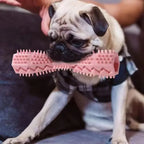 Honden Tanden Kauwspeeltje Schoonmaak - Ruffy
