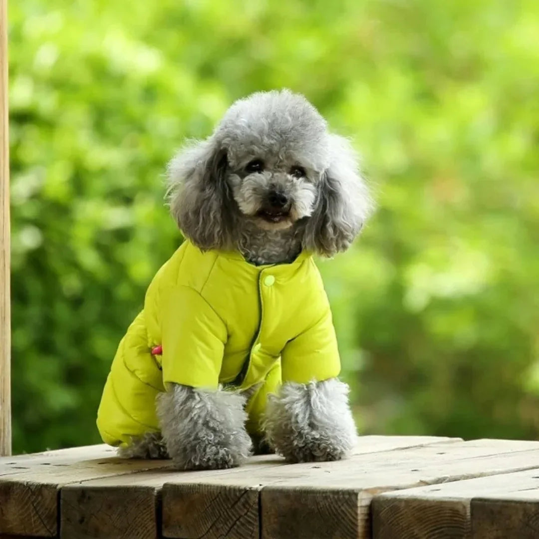 Kleine en Medium Hondenjas Winter Dons Machinewasbaar, Waterdicht - Ruffy
