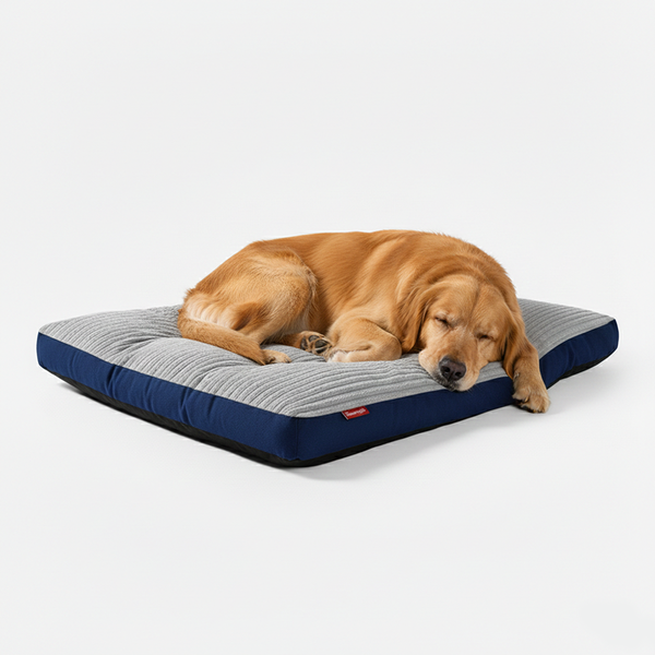 Orthopedic Dog Cushion with Removable Cover