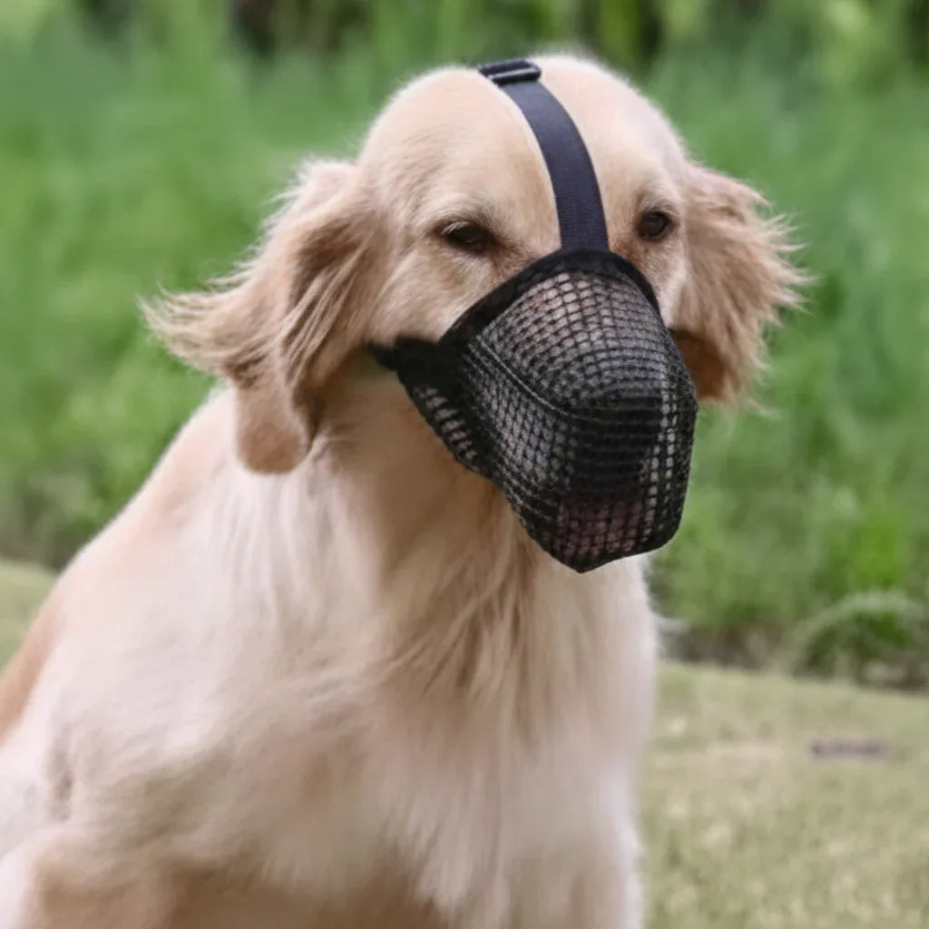 Hondenmuilkorf | Verstelbaar Ademend Mesh | Training & Dierenarts Gebruik | Alle Maten - Ruffy