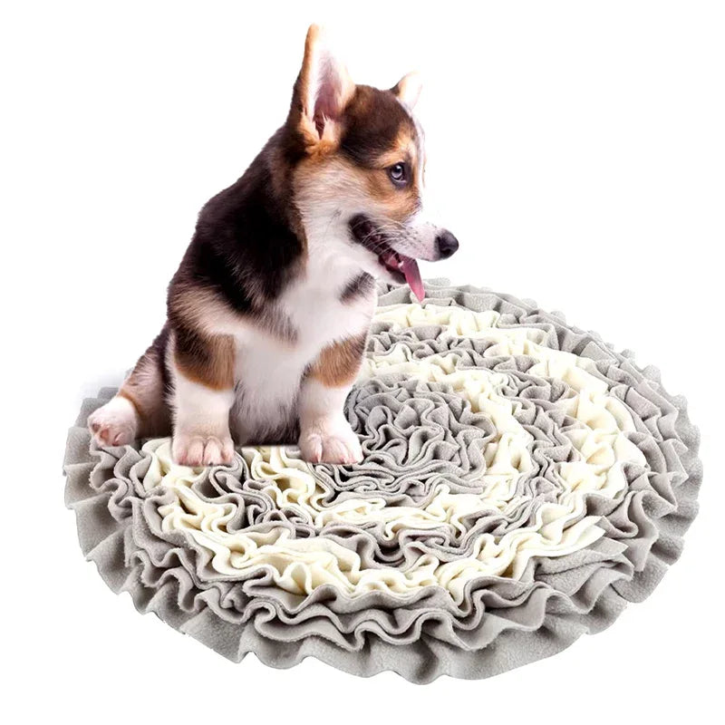 Duurzame Snuffeltrainingsmat Voor Honden - Interactief Langzaam Voerspeelgoed Voor Huisdieren - Ruffy