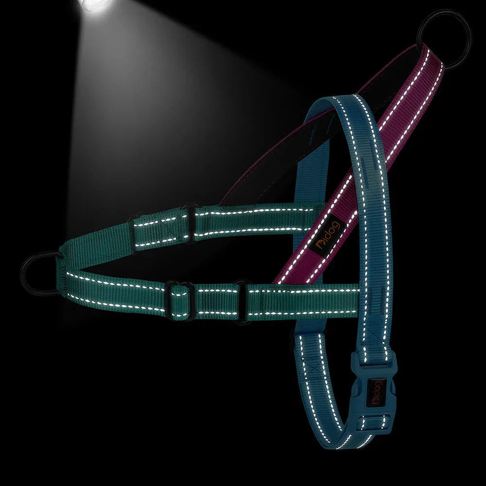 Hondentuig Reflecterend Verstelbaar Nylon - Ruffy