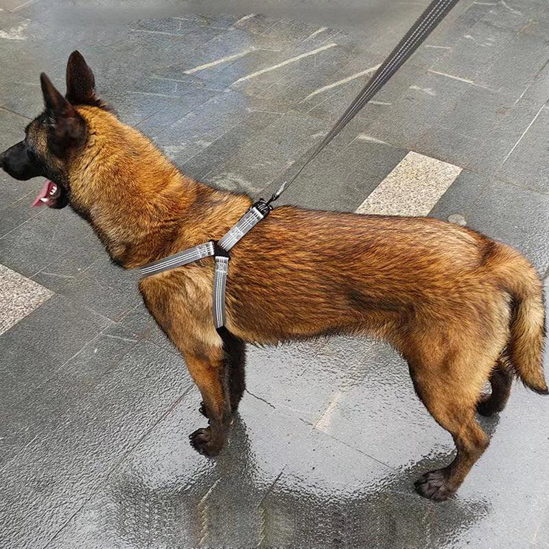 Reflecterend Verstelbaar Y-Harnas Voor Honden Ademend Comfortabel Duurzaam Veilig Geschikt Voor Dagelijkse Wandelingen - Ruffy
